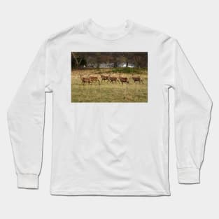 Deer in the Highlands Long Sleeve T-Shirt